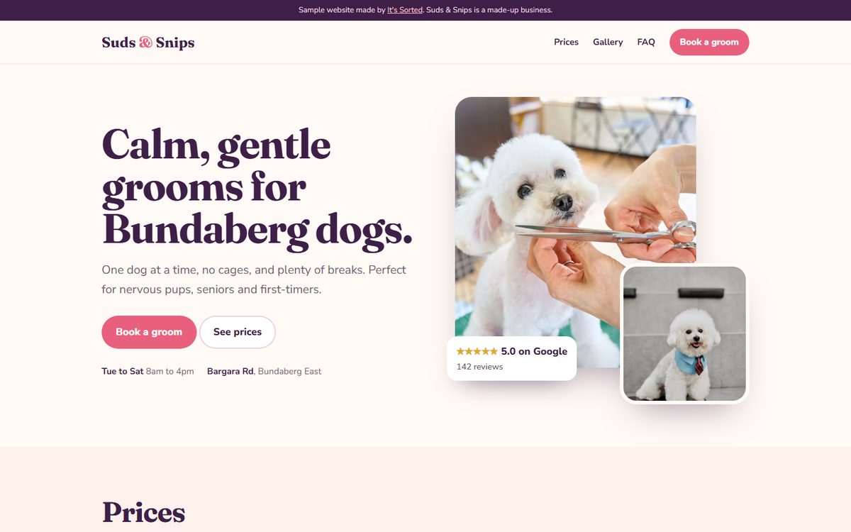 Homepage of the Suds and Snips sample website
